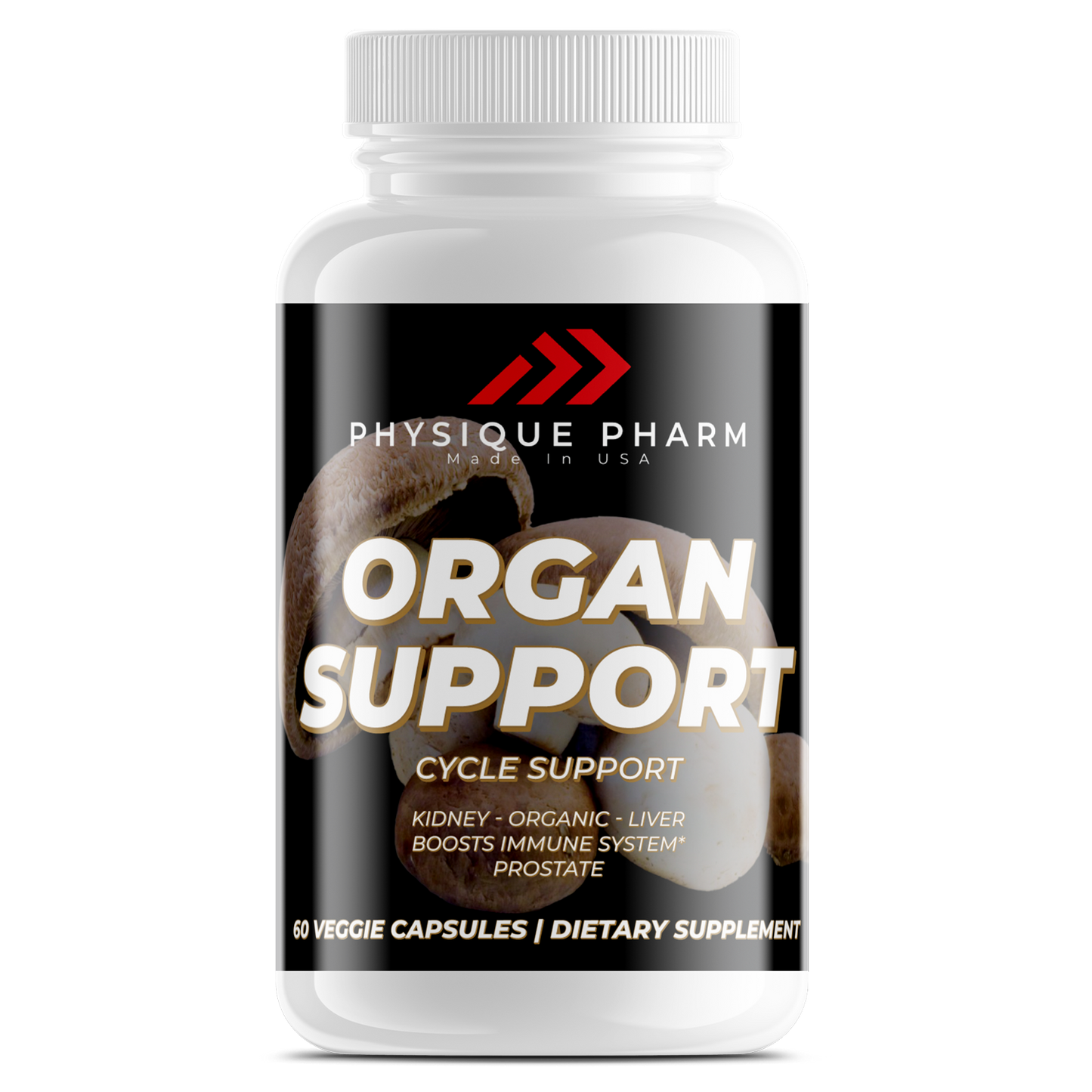 ORGAN SUPPORT